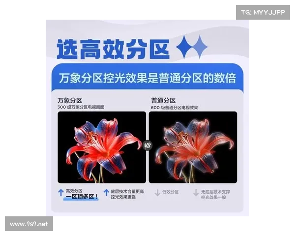 电视在线直播与点播的未来发展趋势及技术革新分析 电视在线直播与点播的未来发展趋势及技术革新分析